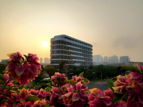 又一座兒童醫院將落地廈門！由國貿地產代建